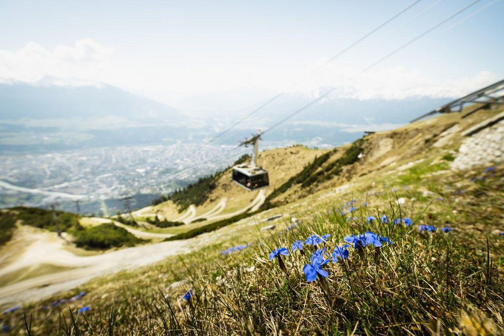 # INNSBRUCK - 365 TAGE VIELFALT
