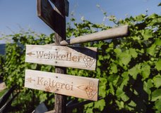 Weingut-Romasi.jpg