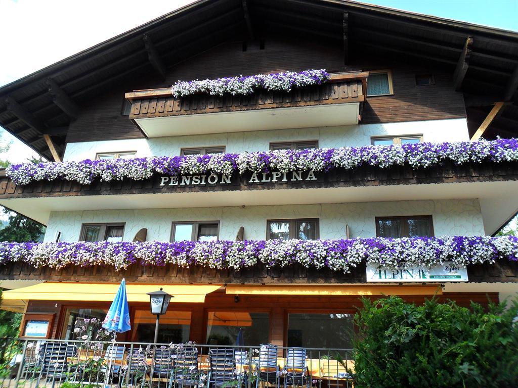 Pension Alpina